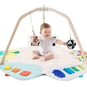 The Play Gym