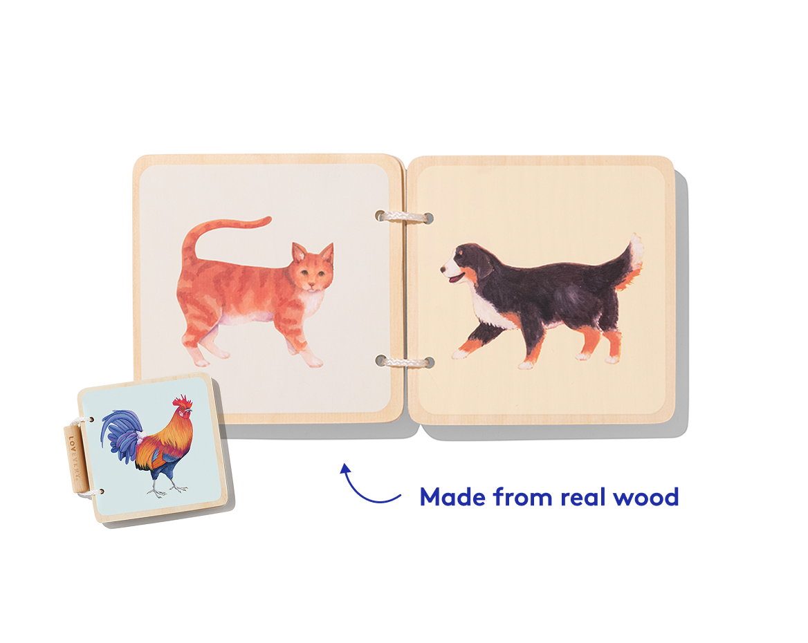 Explore the great indoors and create a bedtime routine - Image 5
